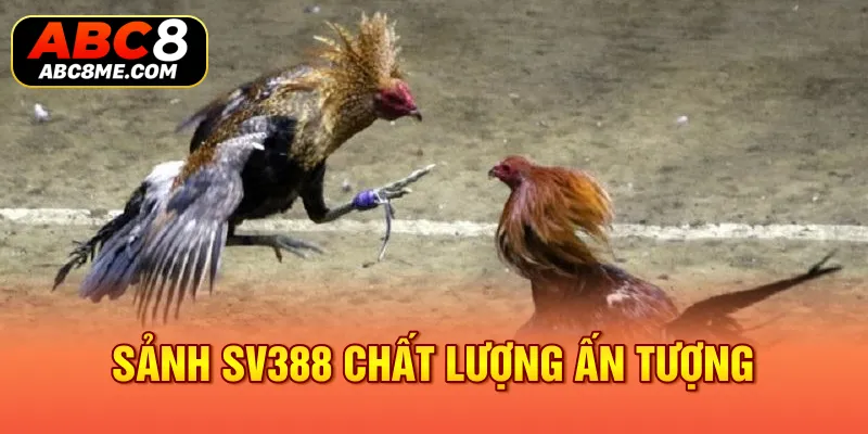 Sảnh SV388 Tại ABC8 - Thiên Đường Giải Trí Có 1 Không 2 Sảnh SV388 chất lượng ấn tượng