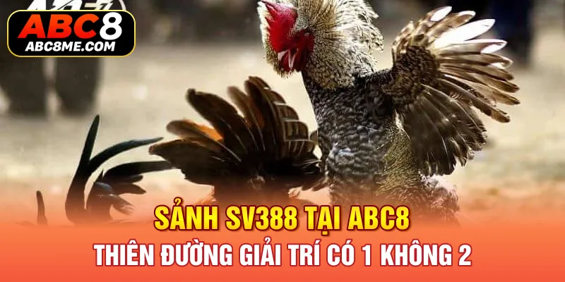 Sảnh SV388 Tại ABC8 - Thiên Đường Giải Trí Có 1 Không 2 Sảnh SV388 Tại ABC8 - Thiên Đường Giải Trí Có 1 Không 2